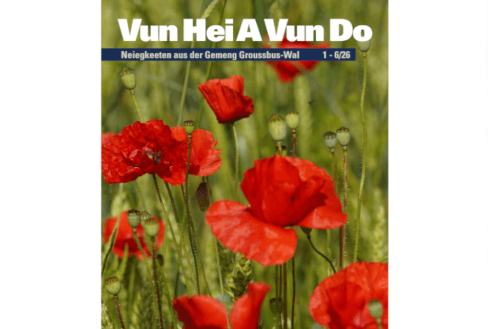 Bulletin communal: découvrez notre dernière édition