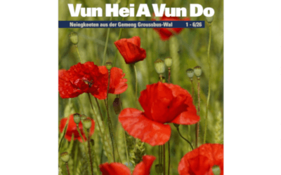 Bulletin communal: découvrez notre dernière édition
