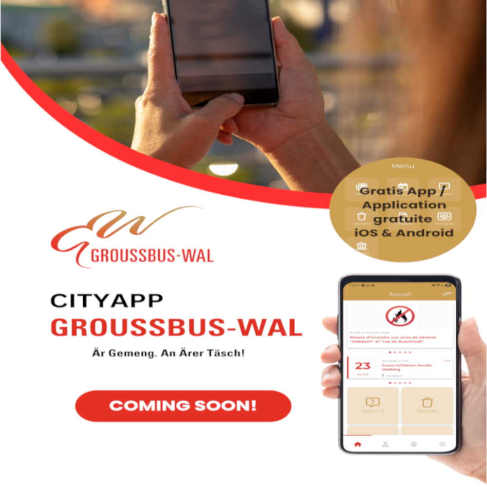 cityapp teasing mini