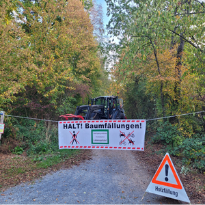 Travaux forestiers en cours dans nos bois