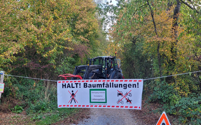 Travaux forestiers en cours dans nos bois