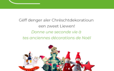 ReUse SIDEC: actions « déco de Noël »